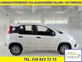 Fiat Panda €7690+ IVA PANDA VAN HYBRID AUTOCARRO 4 POSTI Bianco - thumbnail 3