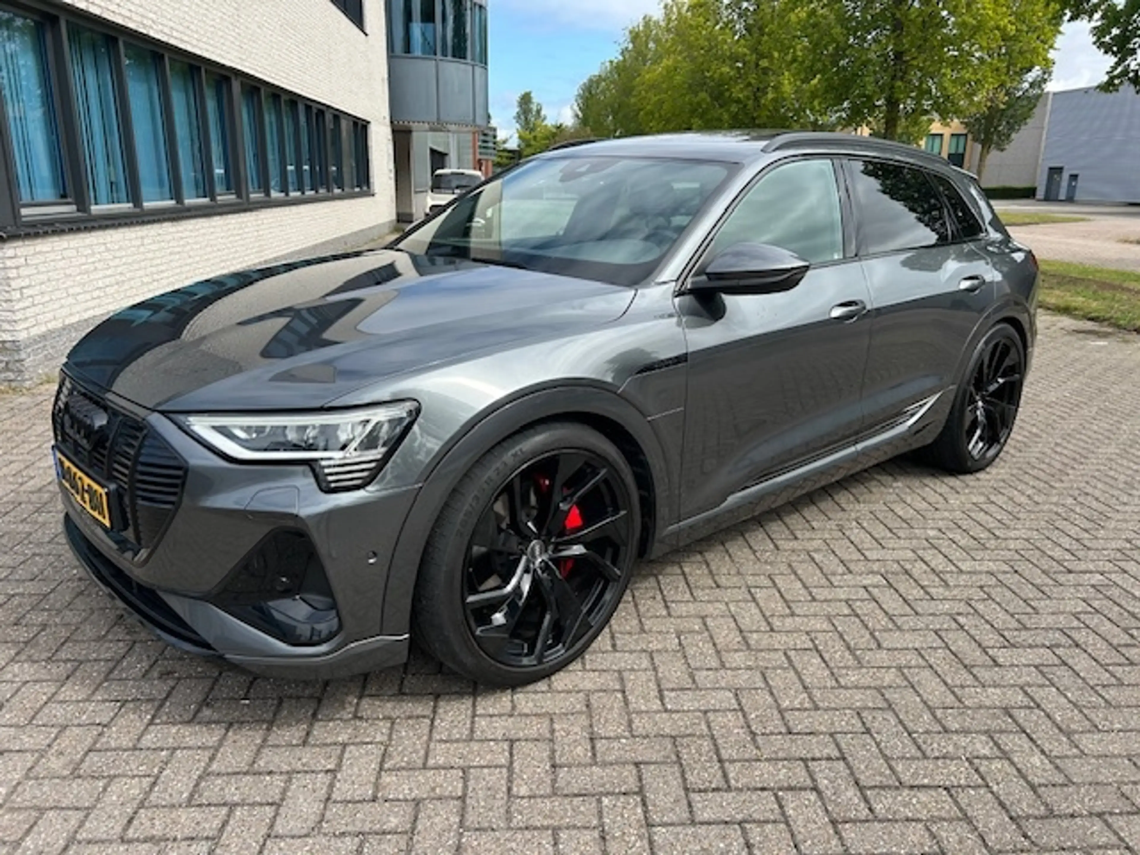 Audi e-tron e-tron 50 q L Ed Bl