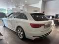 Audi A4 3.0 tdi sline quattro 272cv tiptronic Wit - thumbnail 3