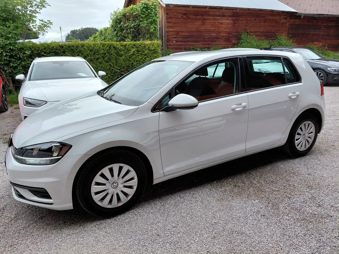 Volkswagen Golf 1,6 TDI Trendline BMT/Start-Stopp Weiß - 2