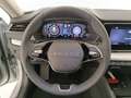 Skoda Octavia Octavia Wagon 2.0 tdi Executive 150cv dsg Argento - thumbnail 14