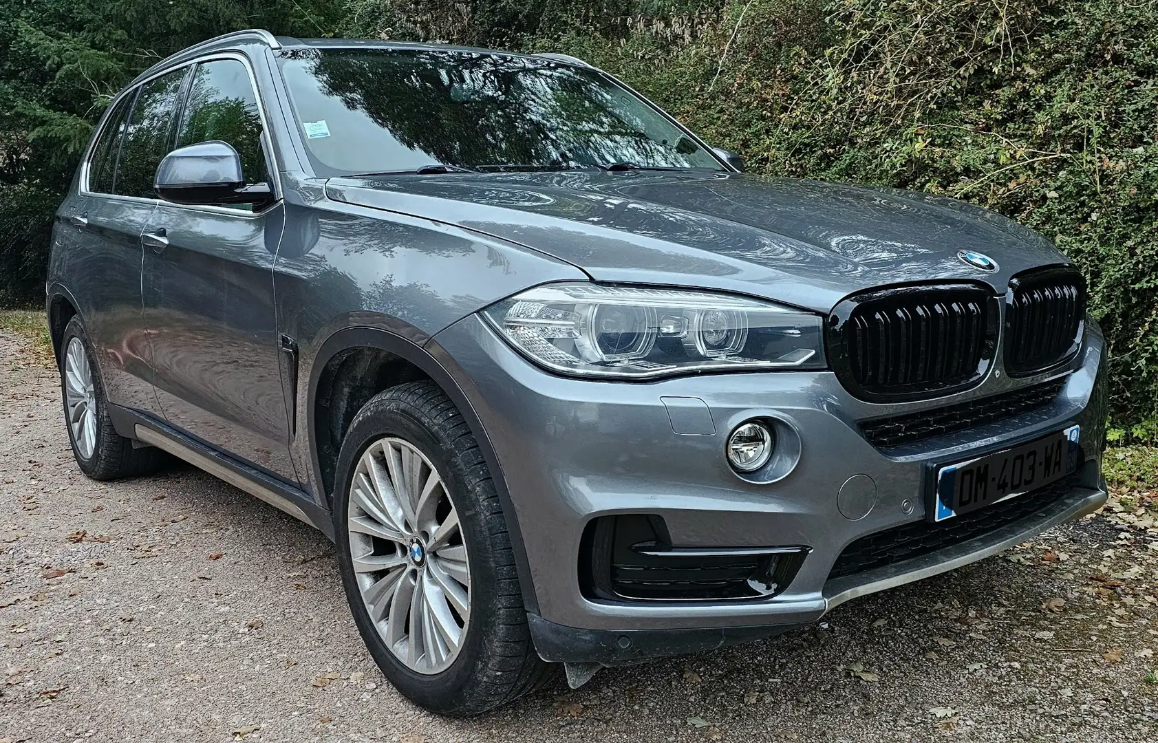 BMW X5 xDrive25d 218 ch Lounge Plus A Gris - 1