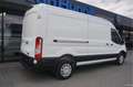 Ford Transit 350L 105PK L3H2 BPM VRIJ!! 12" Sync 4 Apple CP/And Blanc - thumbnail 4