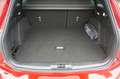 Ford Focus Wagon 1.5 EcoBoost Active 150PK Panodak Camera Win Rood - thumbnail 9
