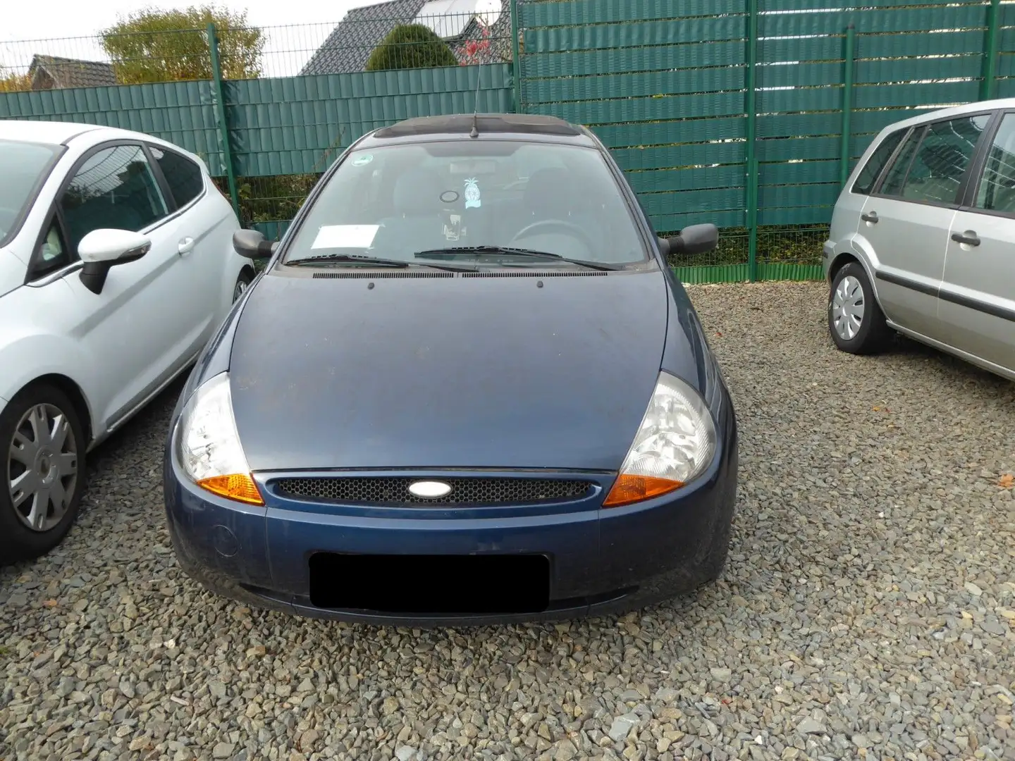 Ford Ka/Ka+ Basis Bleu - 2