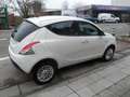 Lancia Ypsilon 0.9 TwinAir Gold CNG Wit - thumbnail 9