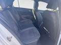 Volkswagen Golf 1.5 tsi ehybrid 50 years 204cv dsg Bianco - thumbnail 9