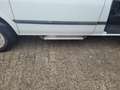Ford Transit 9 Sitze Weiß - thumbnail 12