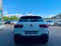 Citroen C4 Cactus BlueHDi 120 S&S EAT6 Feel Pack Bianco - thumbnail 6