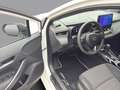 Toyota Corolla TS 1,8 Hybrid Active Drive Weiß - thumbnail 10