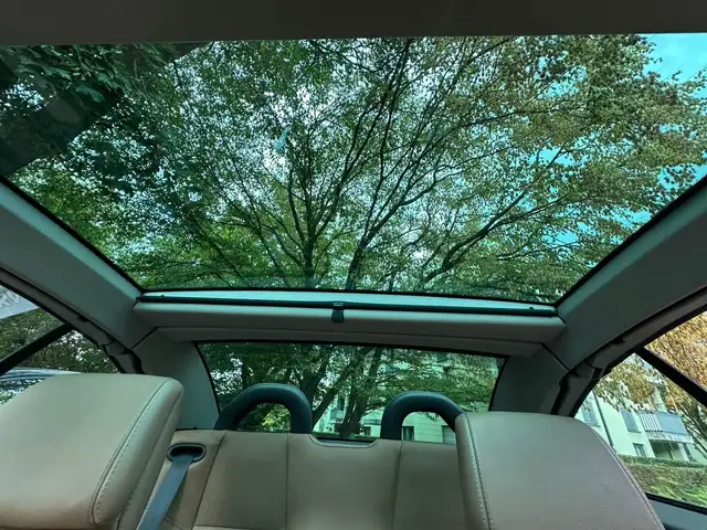 Renault Megane view 16