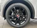 Jaguar E-Pace D165 AWD Aut. R-Dynamic S Grau - thumbnail 9