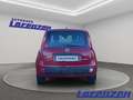 Fiat Panda Mild Hybrid 1.0 70PS Klima DAB Spurhalteass. Verke Rot - thumbnail 6