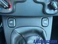 Fiat Panda Mild Hybrid 1.0 70PS Klima DAB Spurhalteass. Verke Rot - thumbnail 17