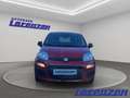 Fiat Panda Mild Hybrid 1.0 70PS Klima DAB Spurhalteass. Verke Rot - thumbnail 2