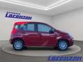 Fiat Panda Mild Hybrid 1.0 70PS Klima DAB Spurhalteass. Verke Rot - thumbnail 4