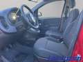 Fiat Panda Mild Hybrid 1.0 70PS Klima DAB Spurhalteass. Verke Rot - thumbnail 12
