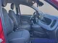 Fiat Panda Mild Hybrid 1.0 70PS Klima DAB Spurhalteass. Verke Rot - thumbnail 9