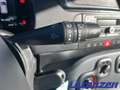 Fiat Panda Mild Hybrid 1.0 70PS Klima DAB Spurhalteass. Verke Rot - thumbnail 21