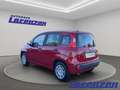 Fiat Panda Mild Hybrid 1.0 70PS Klima DAB Spurhalteass. Verke Rot - thumbnail 7