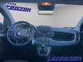 Fiat Panda Mild Hybrid 1.0 70PS Klima DAB Spurhalteass. Verke Rot - thumbnail 11