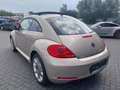 Volkswagen Beetle Beetle 1.2 TSI Design/GPS/TOIT.OUVRANT/GARANTIE/ bež - thumbnail 5