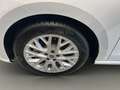 SEAT Ibiza 1.0 TSI FR Ausstattungs-Paket Pro Virtual Blanc - thumbnail 19
