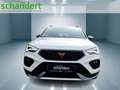 CUPRA Ateca 2.0 TSI DSG 4Drive LED Navi PLA Sitzhzg DAB Weiß - thumbnail 5