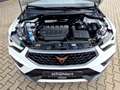 CUPRA Ateca 2.0 TSI DSG 4Drive LED Navi PLA Sitzhzg DAB Weiß - thumbnail 15