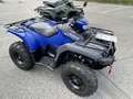 Yamaha Bleu - thumbnail 1