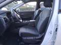 Nissan X-Trail X-Trail e-Power e-4orce 4WD 5 posti N-Connecta Bianco - thumbnail 10