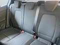 Ford Focus V 2022 - Focus 1.0 ecoboost h ST-Line Design 125cv Grigio - thumbnail 10
