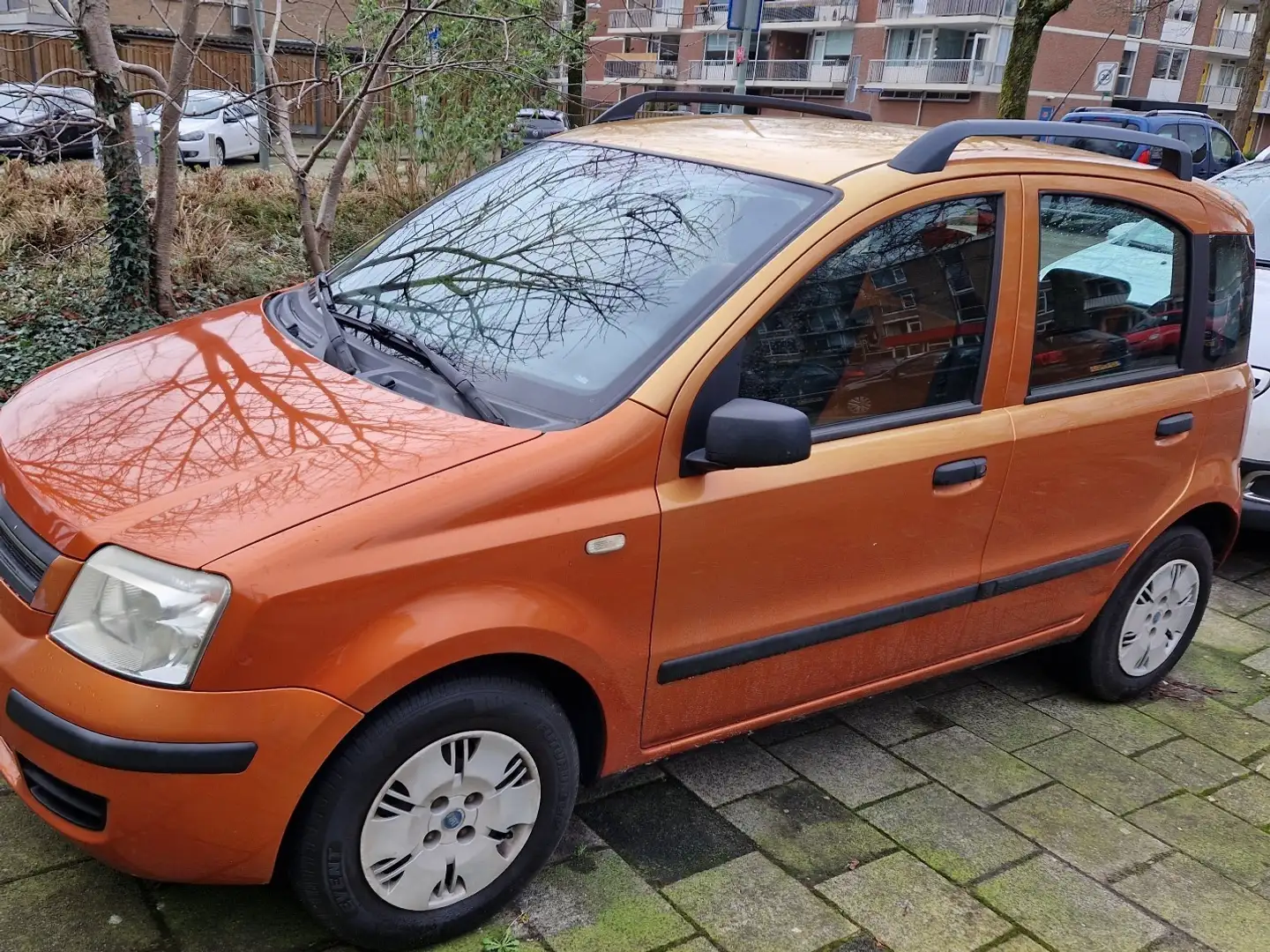 Fiat Panda 1.2 Dynamic Oranje - 1