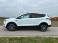 Ford Kuga Kuga 2,0 TDCi Trend Trend Weiß - thumbnail 1