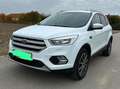 Ford Kuga Kuga 2,0 TDCi Trend Trend Weiß - thumbnail 2