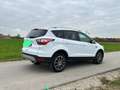 Ford Kuga Kuga 2,0 TDCi Trend Trend Weiß - thumbnail 8