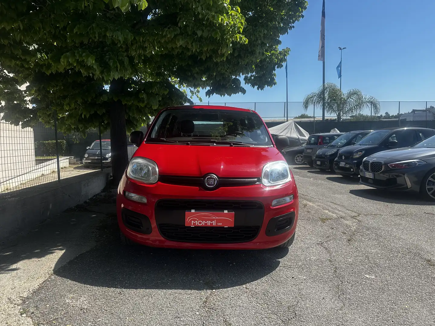 Fiat Panda 1.0 firefly hybrid s&s 70cv 5p.ti - 1