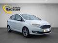 Ford C-Max C-MAX Titanium 1,0 EcoBoost S/S Weiß - thumbnail 7