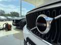 Volvo XC40 D3 Geartronic Bianco - thumbnail 14
