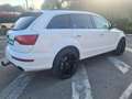 Audi Q7 3.0TDI Advanced Edition 204 Tiptronic Blanc - thumbnail 5