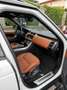 Land Rover Range Rover Sport 3.0SDV6 HSE Dynamic 306 Aut. HSE Dynamic Blanco - thumbnail 18