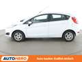 Ford Fiesta 1.0 EcoBoost Titanium*SHZ*KLIMA*GARANTIE* Weiß - thumbnail 3