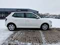 Skoda Fabia 1.0 MPI Cool Klima Sitzheizung DAB Blanc - thumbnail 6