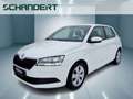 Skoda Fabia 1.0 MPI Cool Klima Sitzheizung DAB Blanc - thumbnail 1