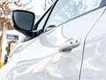 Renault ZOE R90 Intens 41 kWh (ex Accu) CAMERA CRUISE PDC NAVI Wit - thumbnail 24