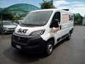 Fiat Ducato 30 CH1 2.3 mjt 120cv E6d-temp Weiß - thumbnail 2