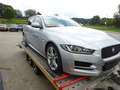 Jaguar XE R-Sport/Limo/Euro 6 Plateado - thumbnail 5