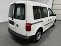 Volkswagen CADDY 2.0 TDI 2,2t |NP27,2€|1Hd|AC|EUR6|VERGLAST Wit - thumbnail 5