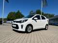 Kia Picanto 1.0 Edition Dream Team *Kamera Sitzh.* Weiß - thumbnail 1