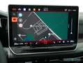 Volkswagen Golf 8 50Jahre 1.5 TSI DSG Navi Pano HUD IQ-LED Grau - thumbnail 10